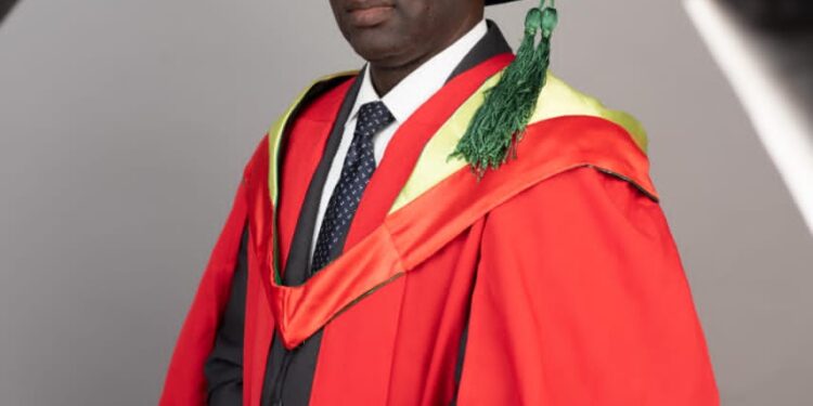 Excessive Chemical Use, Monocropping, Poor Irrigation Threaten Nigerian Agriculture – Professor Babajide Explains