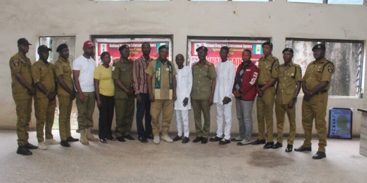 NDLEA Igboora Commander, DCN Akomolafe Adekola Ismaila, Honoured as African Ambassador for Drug-Free Society