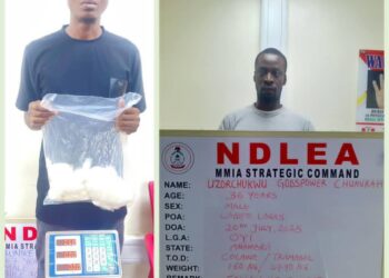 Court Jails Five International Drug Syndicate Members, Orders Forfeiture of Cash and Luxury Cars to Federal Government