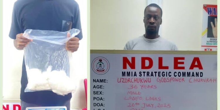 Court Jails Five International Drug Syndicate Members, Orders Forfeiture of Cash and Luxury Cars to Federal Government