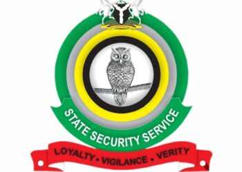 DSS Files Criminal Charges Against 27-Year-Old Over Alleged Coup Advocacy