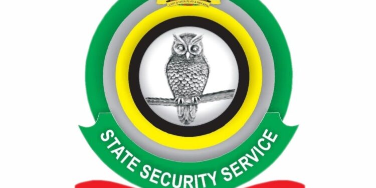 DSS Files Criminal Charges Against 27-Year-Old Over Alleged Coup Advocacy