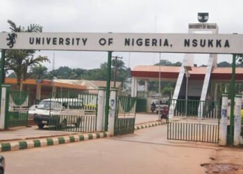 UNN Appoints Chimamanda Adichie, Kevin Urama, James Robinson as Visiting Professors