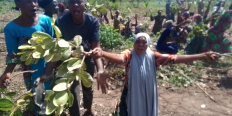 Oloya Community Protests Alleged Encroachment on Ancestral Land in Oyo State