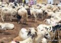 Engineer Muftau Open Salau Spreads Eid-el-Kabir Joy with Cash Gifts, Rice, and Rams Across Oyo State
