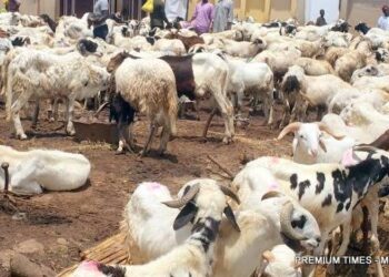 Engineer Muftau Open Salau Spreads Eid-el-Kabir Joy with Cash Gifts, Rice, and Rams Across Oyo State