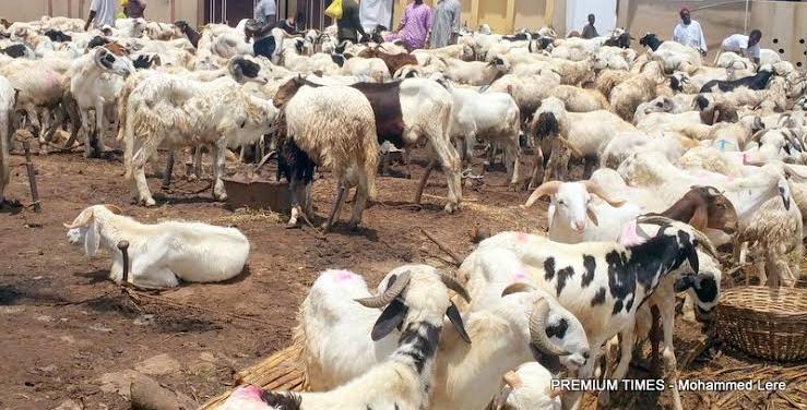 Engineer Muftau Open Salau Spreads Eid-el-Kabir Joy with Cash Gifts, Rice, and Rams Across Oyo State