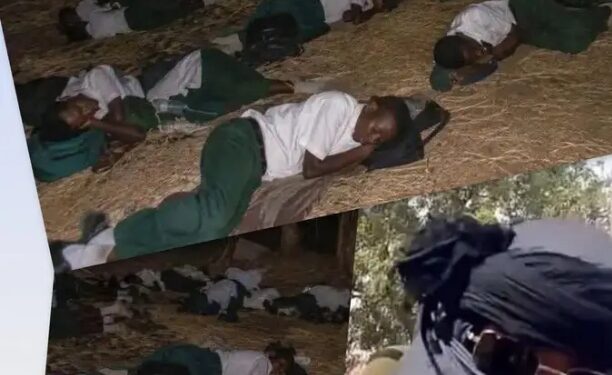 BARELY THREE WEEKS LATER, NIGERIA’S FUTURE LEADERS STILL LANGUISH IN THE FOREST