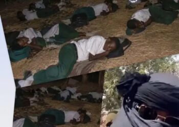 BARELY THREE WEEKS LATER, NIGERIA’S FUTURE LEADERS STILL LANGUISH IN THE FOREST