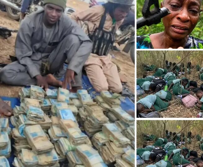 EXHIBITION OF RANSOM VIDEOS BY TERRORISTS SPARKS OUTRAGE, RAISES SECURITY CONCERNS IN NIGERIA
