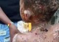 MALTREATMENT OF CHILDREN IN THE HANDS OF GUARDIANS: A CALL FOR PROACTIVENESS IN NIGERIA