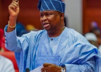 BEYOND THE NAME YAYI: CAN A RECORD OF PROJECTS BECOME A LEGACY OF LEADERSHIP?* 